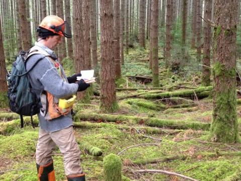Timber Reconnaissance